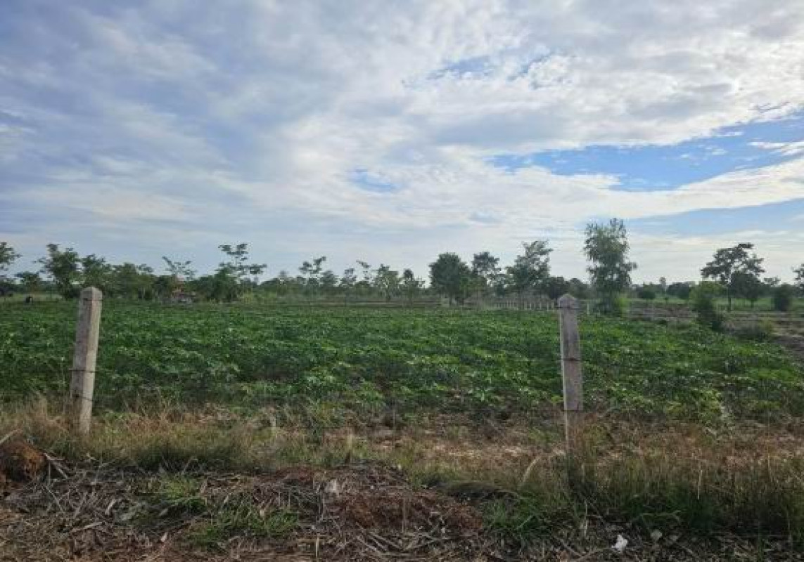 ที่ดินเปล่า กาฬสินธุ์ กุฉินารายณ์ สามขา 2541000
