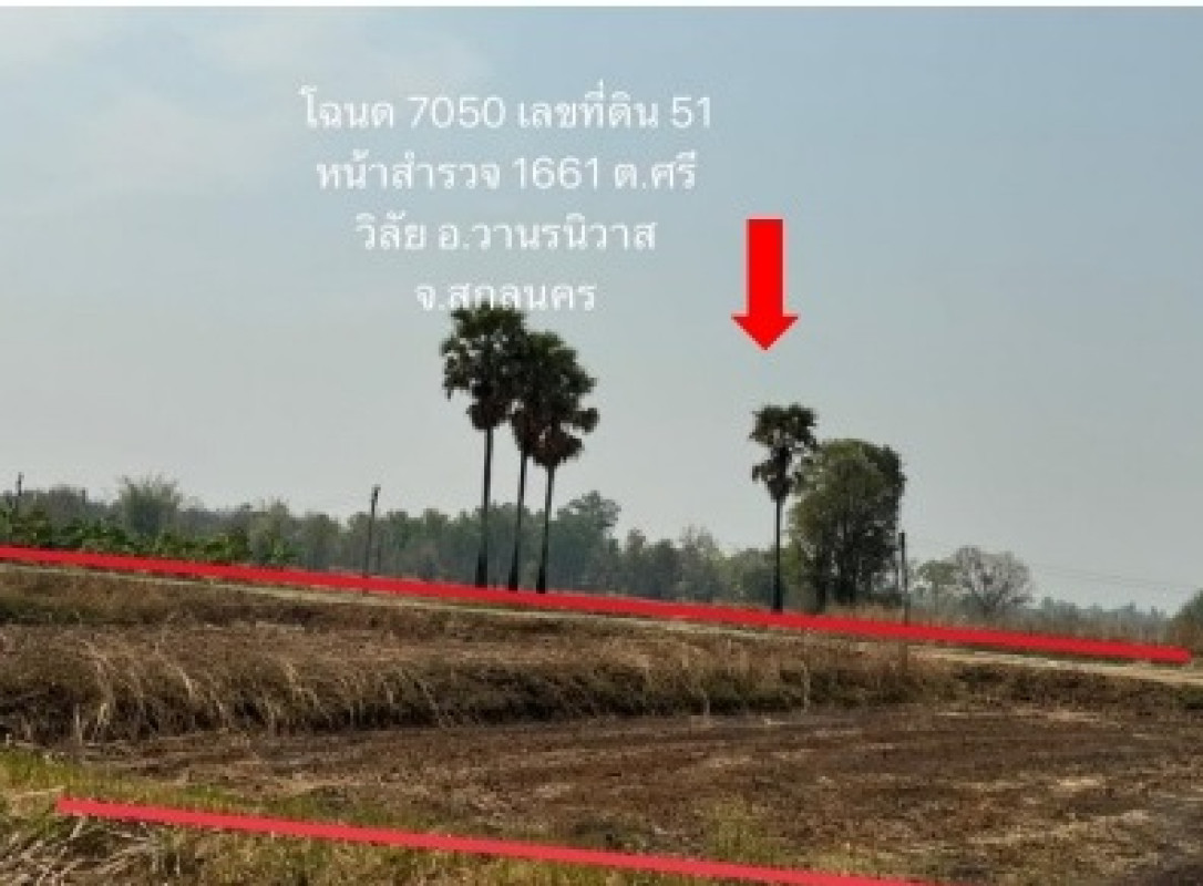 ที่ดินเปล่า สกลนคร วานรนิวาส ศรีวิชัย 764790