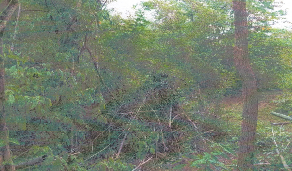 Residential land/lot Lampang Ko Kha Na Saeng 412825