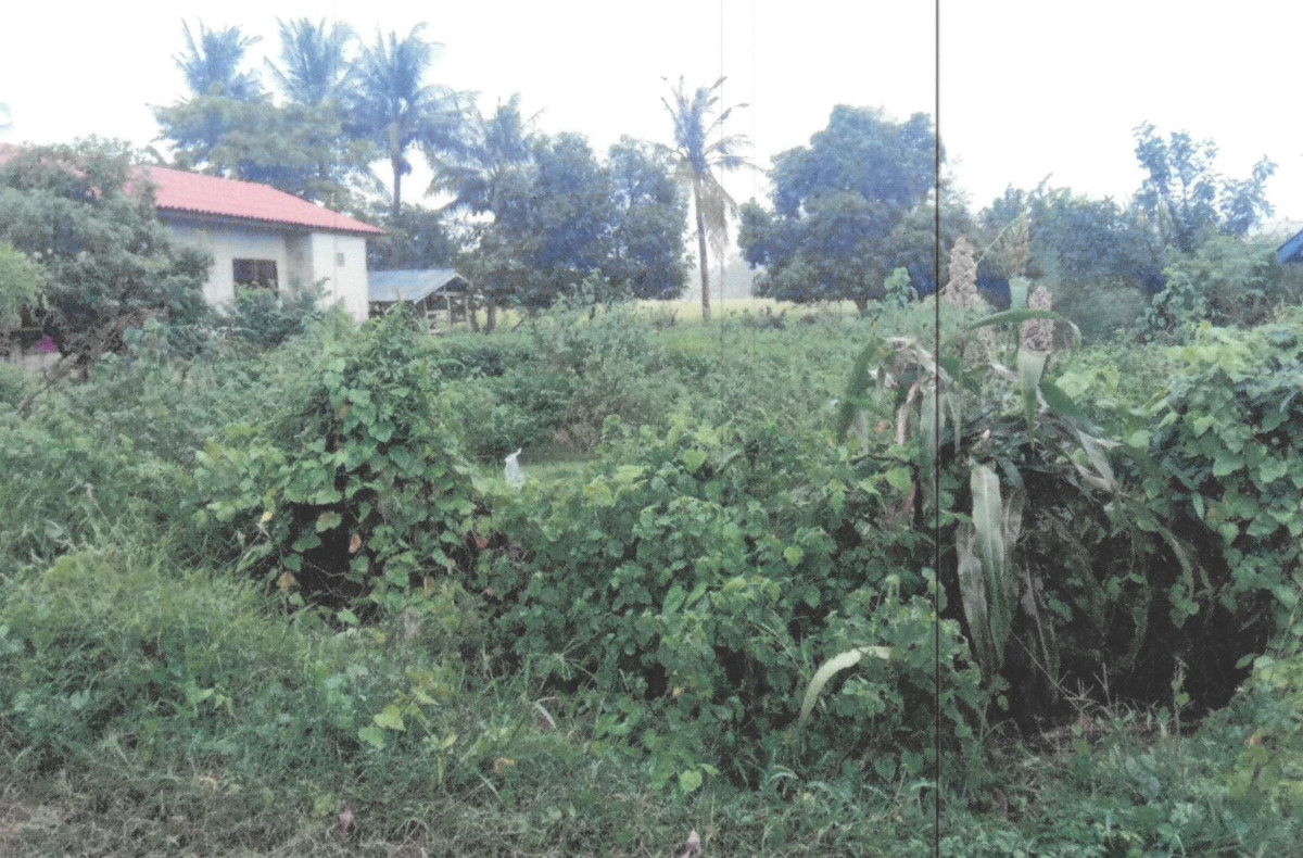 Residential land/lot Chai Nat Manorom Wat Khok 33300