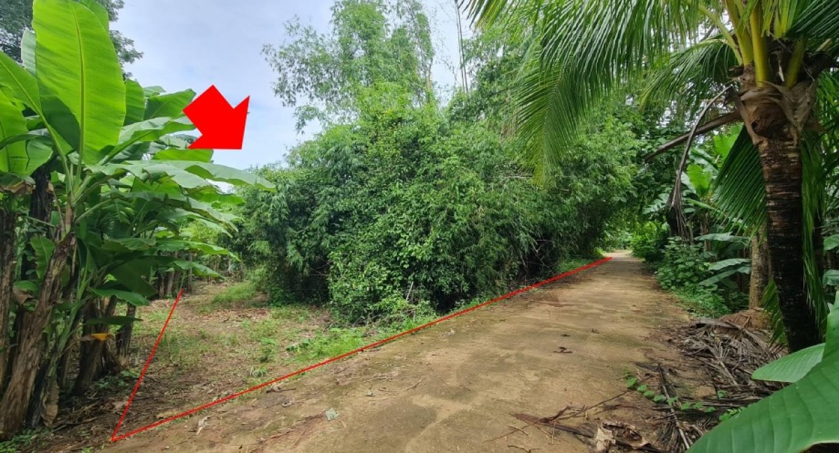 Residential land/lot Sukhothai Sawankhalok Yan Yao 186000