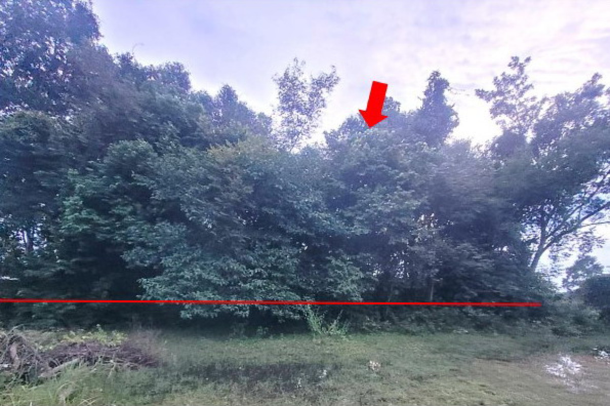Residential land/lot Ubon Ratchathani Lao Suea Kok Phaeng Yai 306860