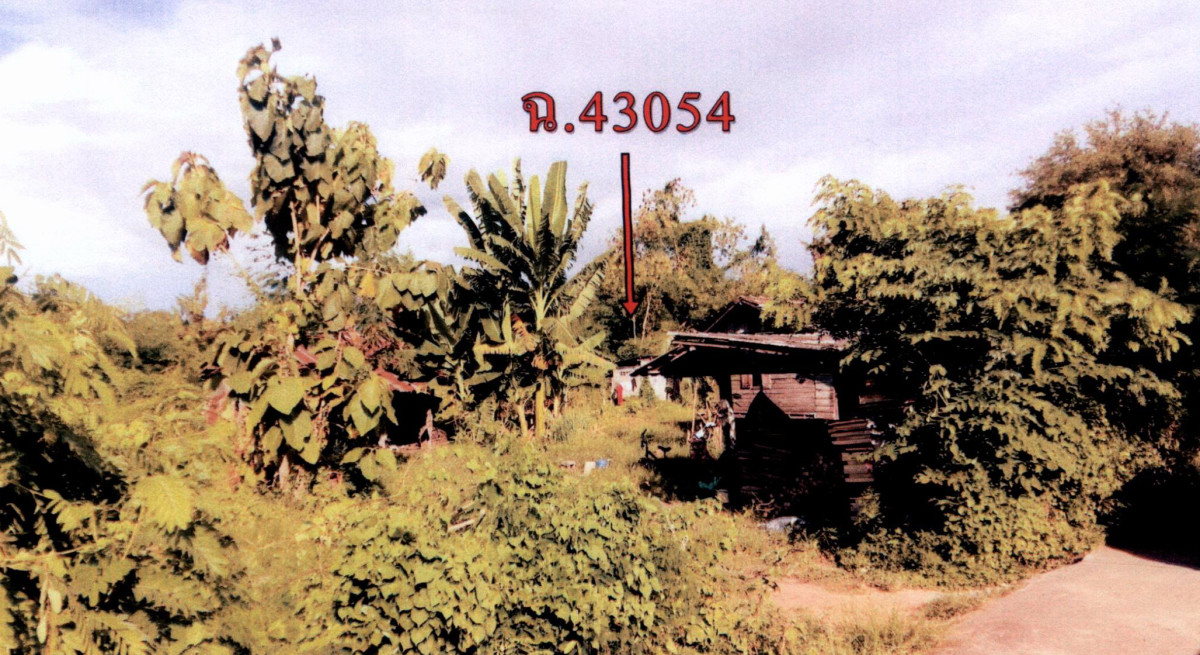 Single house Lampang Ko Kha Lampang Luang 212476