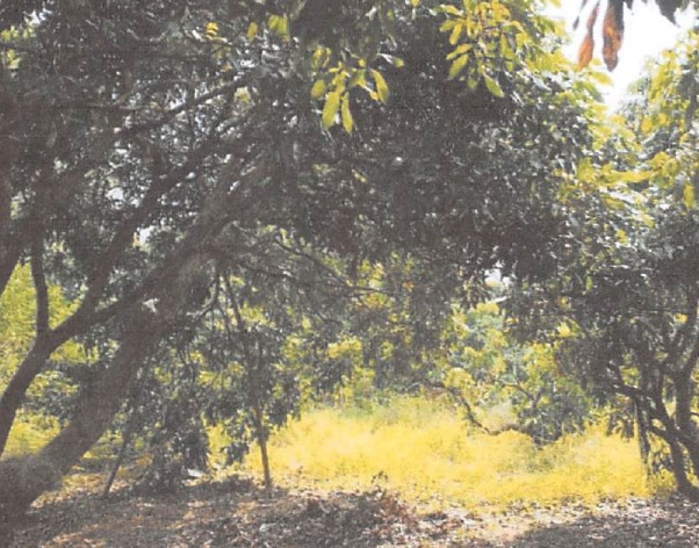 Residential land/lot Chiang Mai Chom Thong Mae Soi 144000