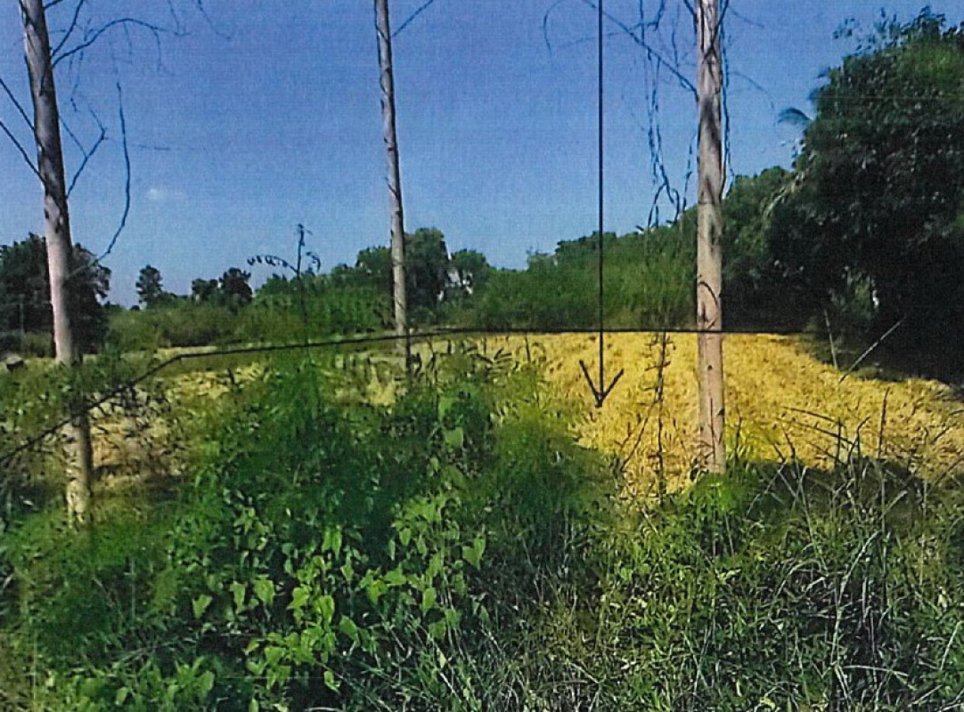 ที่ดินเปล่า นครราชสีมา ห้วยแถลง ตะโก 104000