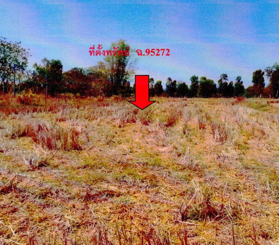 ที่ดินเปล่า หนองคาย เมืองหนองคาย หาดคำ 152050