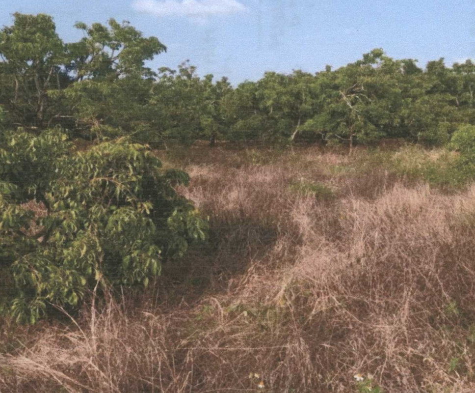 Residential land/lot Chiang Mai Chom Thong Ban Pae 226800
