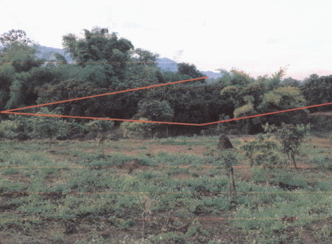 Residential land/lot Chiang Mai Doi Tao Pong Thung 119200