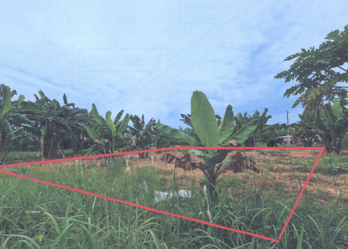 Residential land/lot Prachuap Khiri Khan Pran Buri Khao Noi 549600