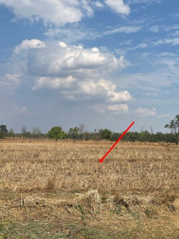 Residential land/lot Nakhon Phanom Phon Sawan Phon Bok 495100