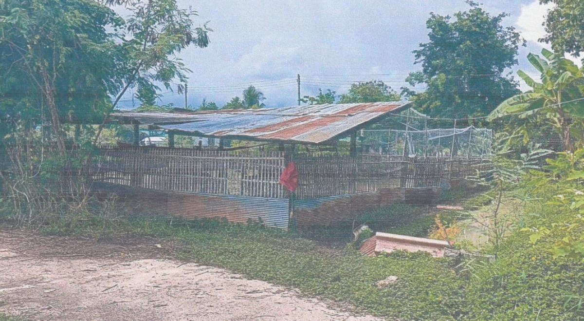 Single house Chiang Mai San Kamphaeng Buak Khang 115000