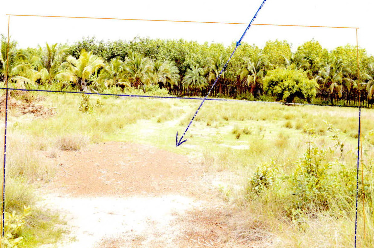 Residential land/lot Ubon Ratchathani Si Mueang Mai Ueat Yai 335730
