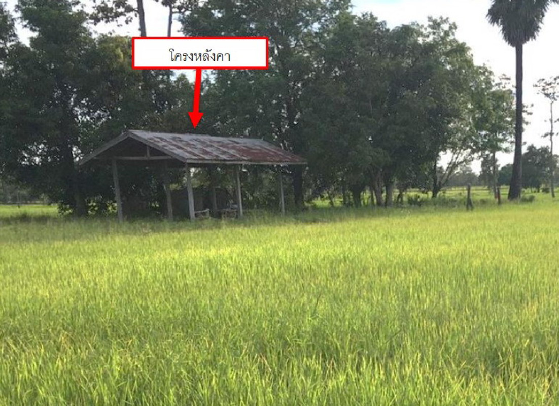 บ้านเดี่ยว อุบลราชธานี วารินชำราบ คูเมือง 1905072