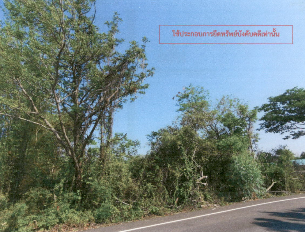 Residential land/lot Kalasin Huai Phueng Khai Nun 577600