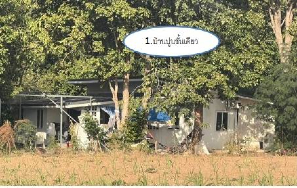 บ้านเดี่ยว กาฬสินธุ์ เมืองกาฬสินธุ์ ขมิ้น 1312500