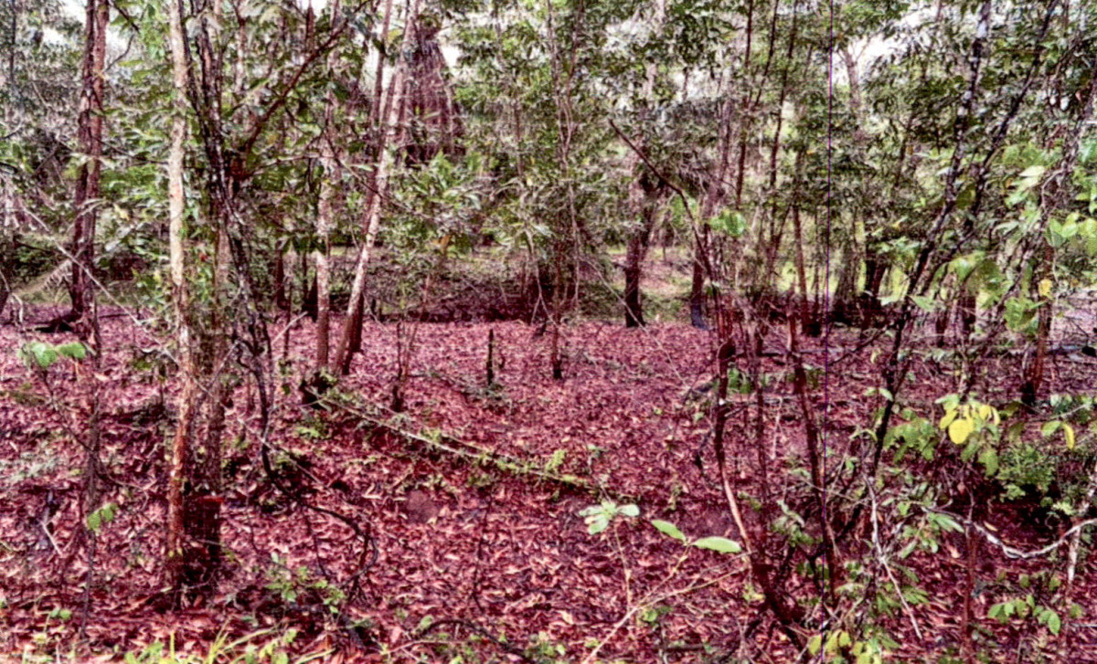Residential land/lot Surat Thani Phunphin Krut 1098600