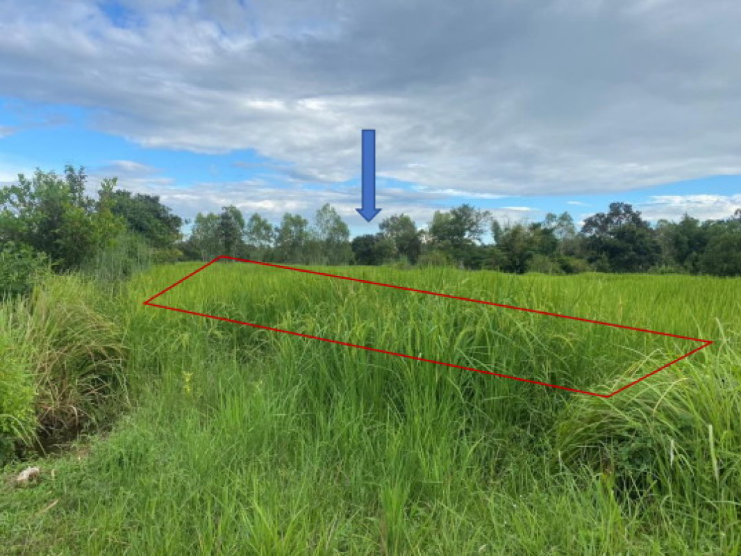 Residential land/lot Ubon Ratchathani Khueang Nai Yang Khi Nok 129150