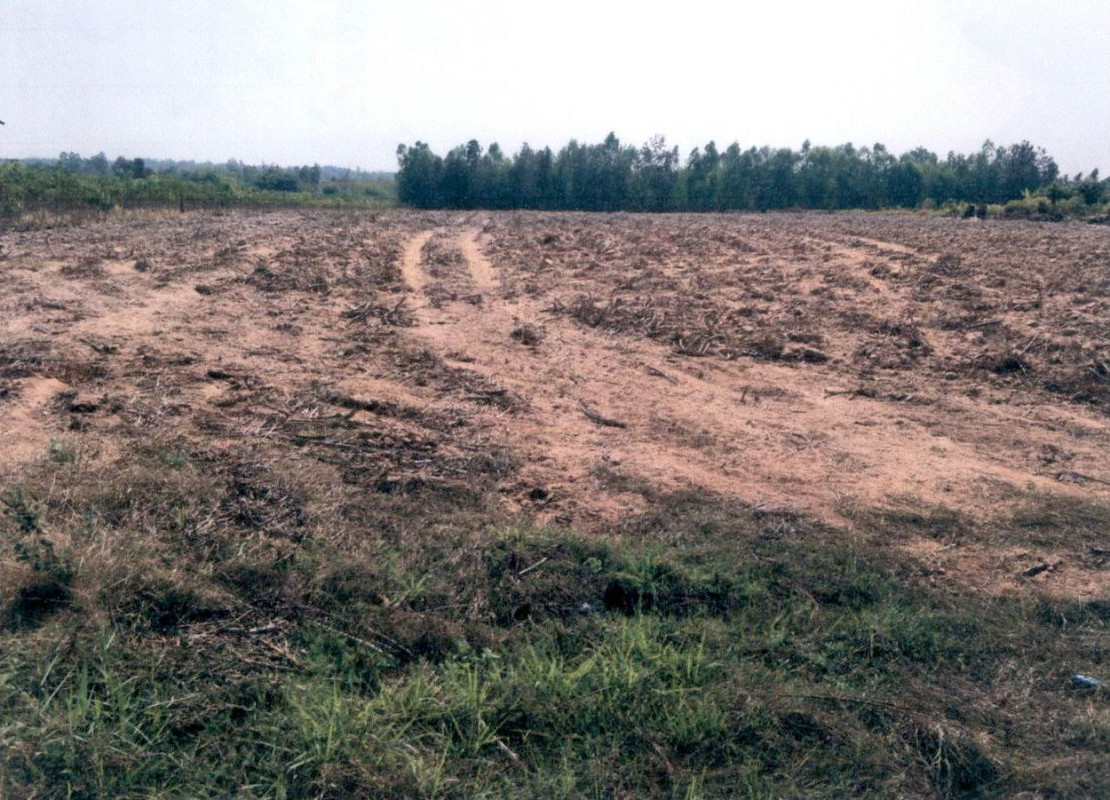 ที่ดินเปล่า กาฬสินธุ์ หนองกุงศรี หนองบัว 900000