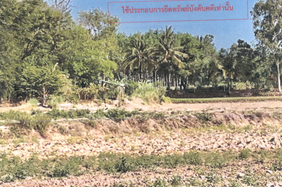 ที่ดินเปล่า กาฬสินธุ์ นามน สงเปลือย 235000