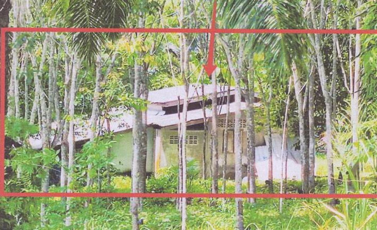 Single house Krabi Khao Phanom Khao Din 858420
