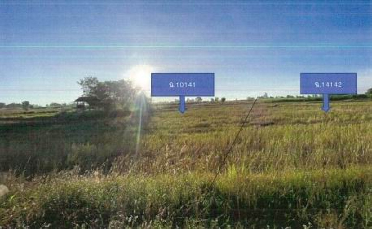 Residential land/lot Kalasin Kuchinarai Sam Kha 313000