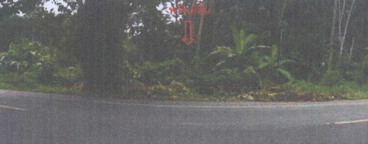 Residential land/lot Pattani Yarang Mo Mawi 774180