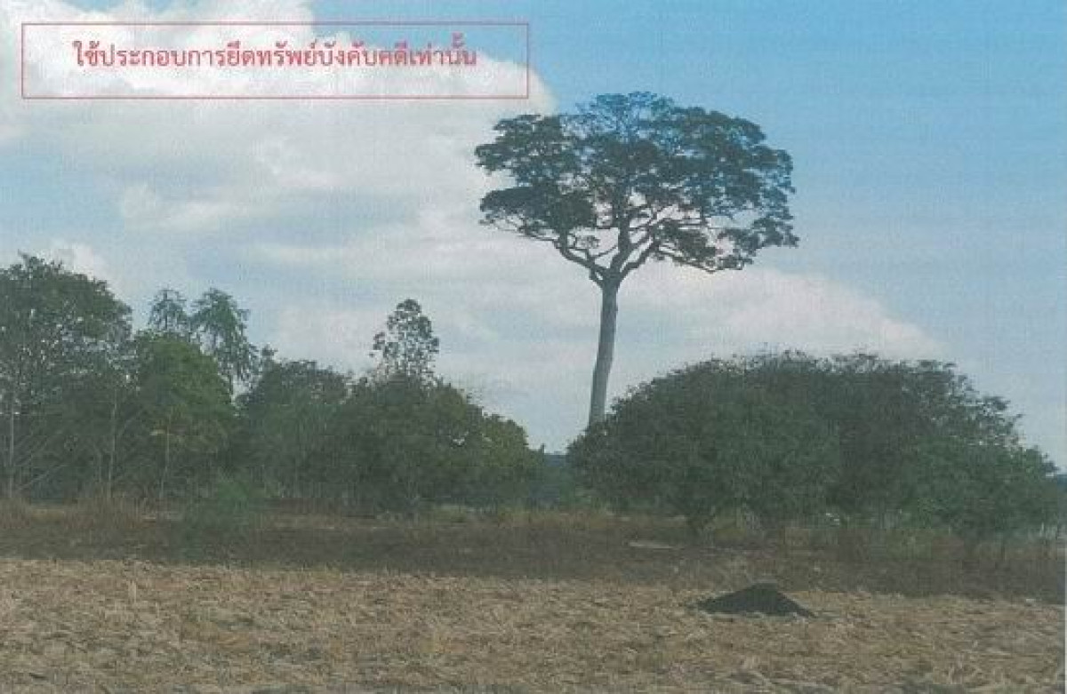 ที่ดินเปล่า กาฬสินธุ์ กุฉินารายณ์ กุดหว้า 436825
