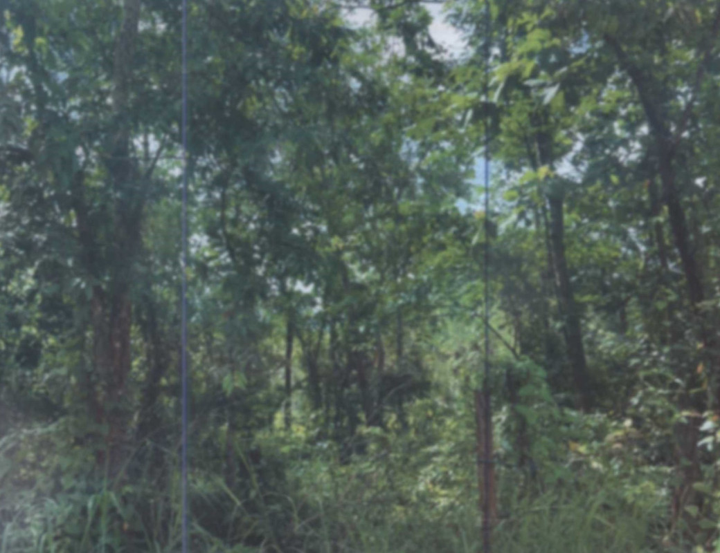 Residential land/lot Nakhon Phanom Sri Songkhram Phon Sawang 1030680