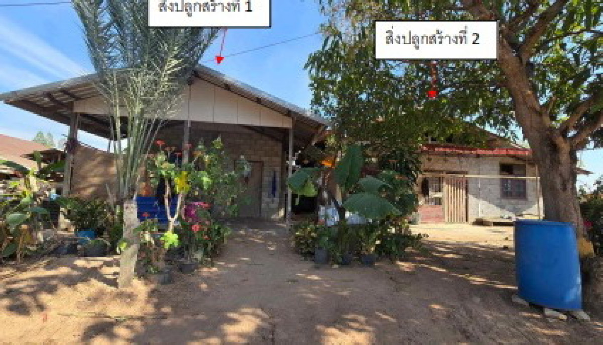บ้านเดี่ยว กาฬสินธุ์ เมืองกาฬสินธุ์ เชียงเครือ 493200