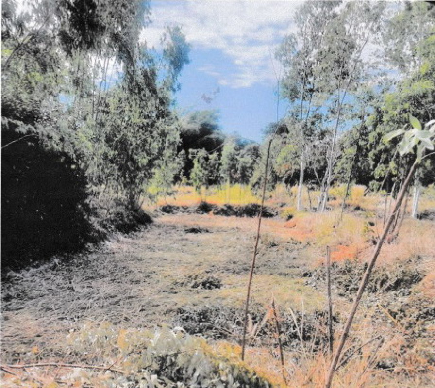 Residential land/lot Kalasin Rong Kham Samakkhi 128000