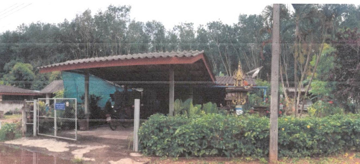 บ้านเดี่ยว สุราษฎร์ธานี พุนพิน ท่าสะท้อน 1095500