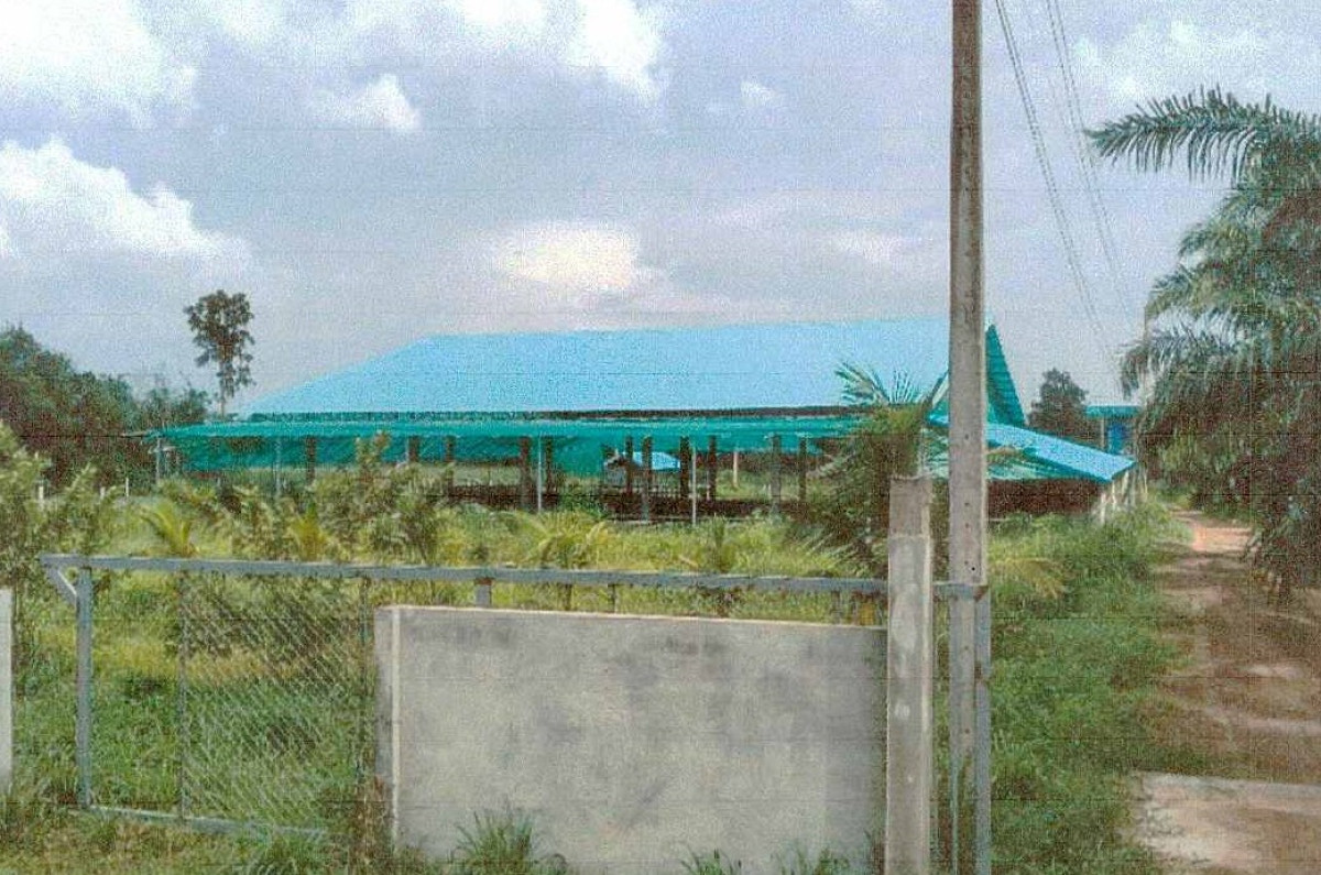 บ้านเดี่ยว หนองคาย สระใคร บ้านฝาง 774270