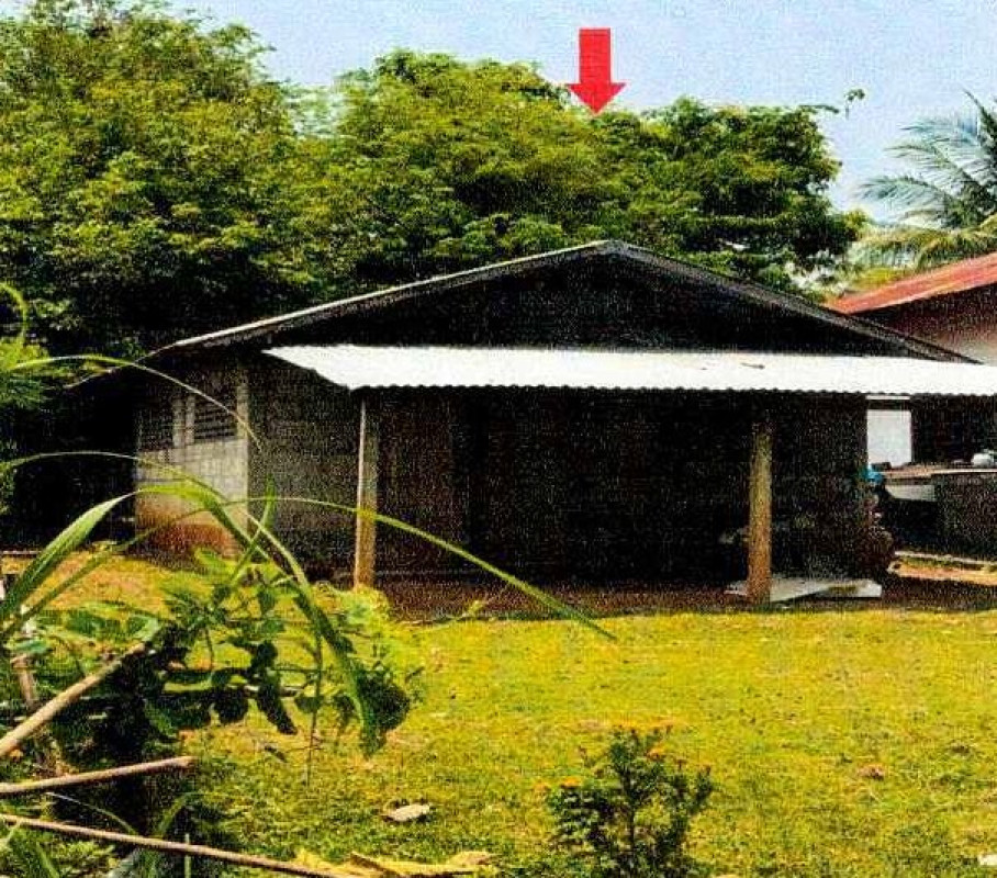บ้านเดี่ยว หนองคาย เมืองหนองคาย พระธาตุบังพวน 367020