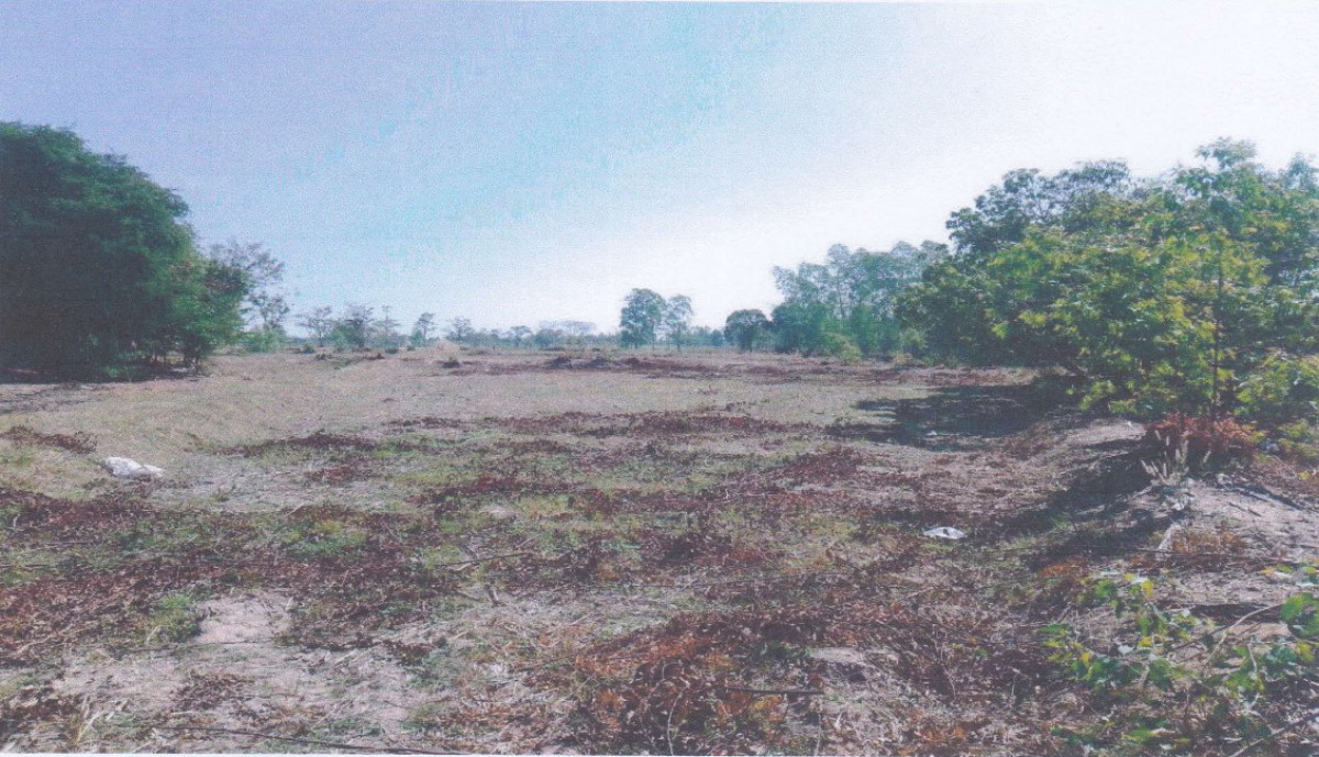 ที่ดินเปล่า อุบลราชธานี พิบูลมังสาหาร หนองบัวฮี 480000