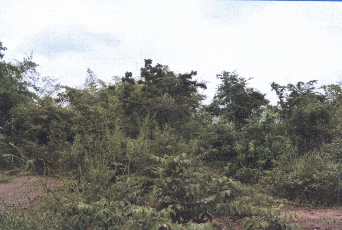 Residential land/lot Lampang Ko Kha Na Kaeo 62500