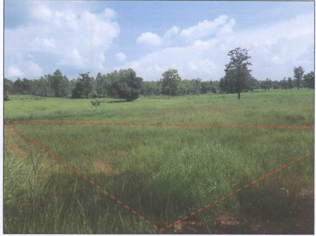 Residential land/lot Nakhon Phanom Wang Yang Wang Yang 126000