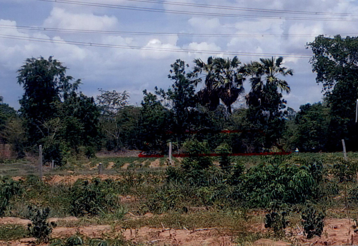 Residential land/lot Chaiyaphum Bamnet Narong Ban Chuan 21000