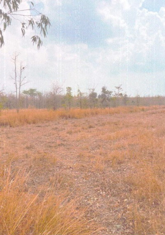 Residential land/lot Nakhon Phanom Pla Pak Pla Pak 1723680