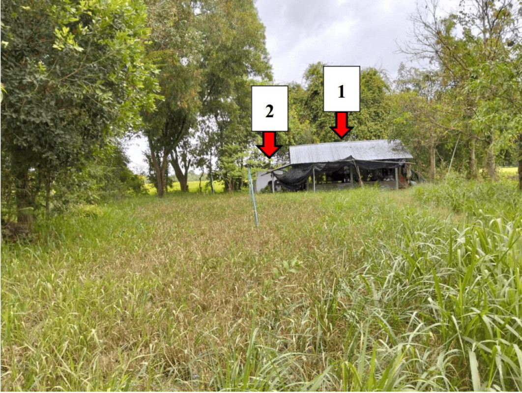บ้านเดี่ยว อุบลราชธานี เขื่องใน ศรีสุข 374791