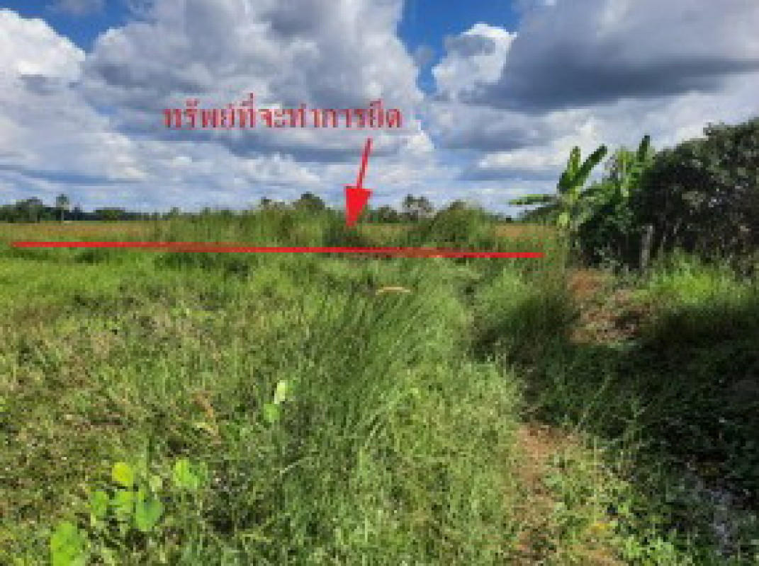 ที่ดินเปล่า กาฬสินธุ์ ยางตลาด อุ่มเม่า 728000
