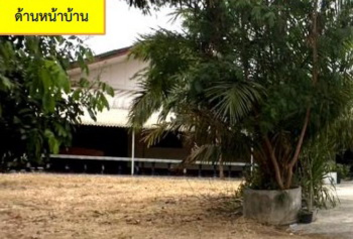 Single house Kalasin Somdet Somdet 1133800