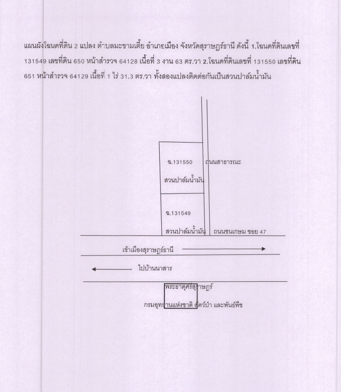 Residential land/lot Surat Thani Mueang Surat Thani Makham Tia 9928750