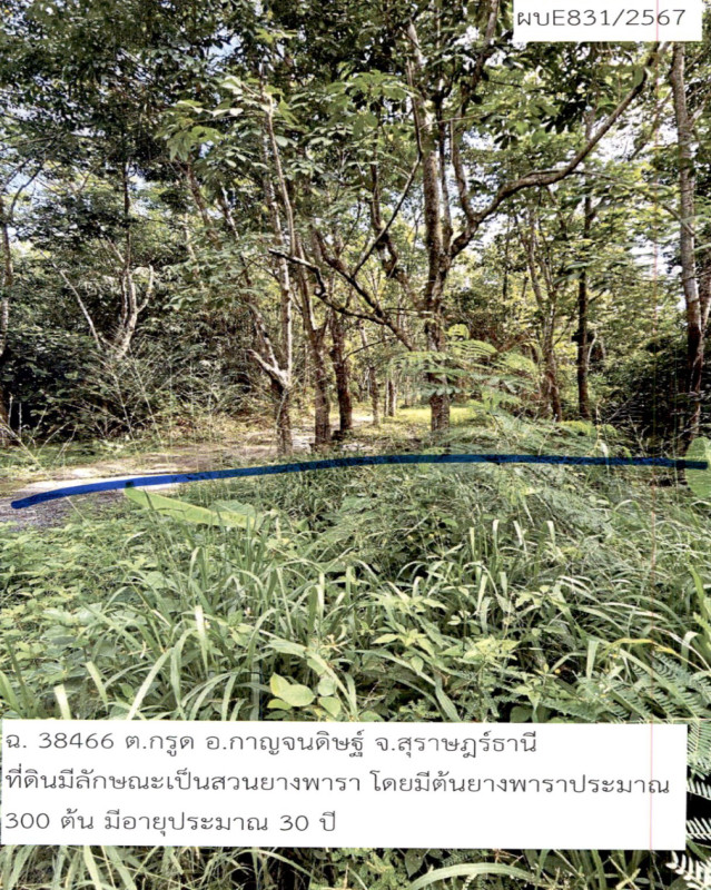 Residential land/lot Surat Thani Kanchanadit Krut 1966000