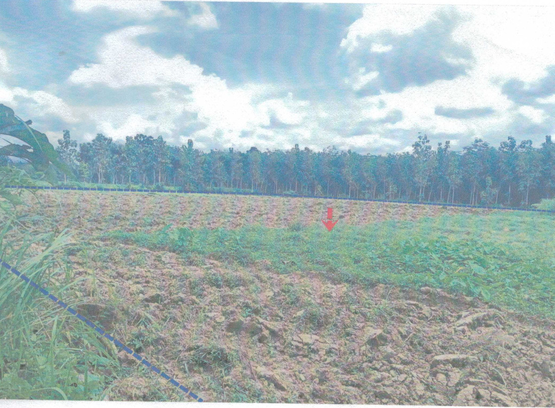 Residential land/lot Nakhon Si Thammarat Thung Song Na Mai Phai 625140