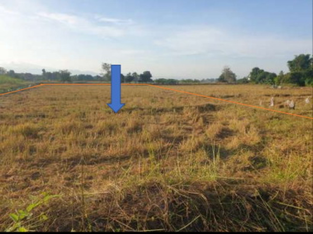 Residential land/lot Chiang Rai Phaya Mengrai Mai Ya 658320