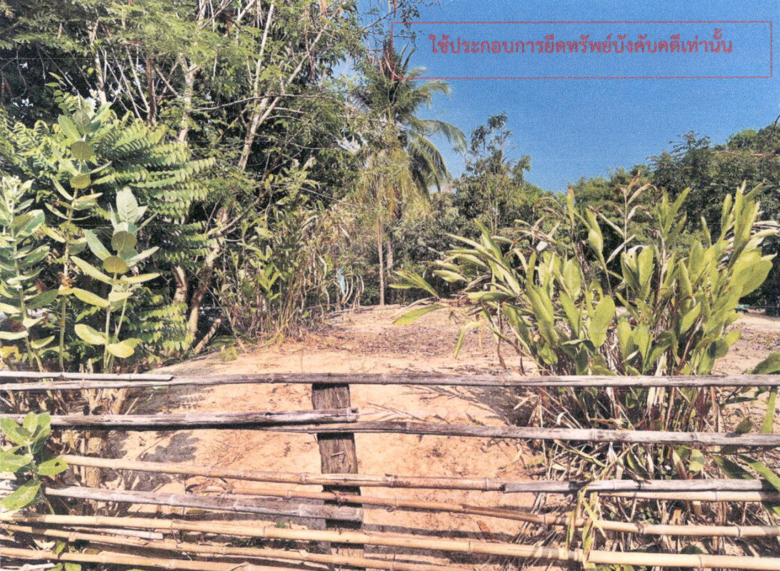 ที่ดินเปล่า กาฬสินธุ์ นามน สงเปลือย 22000