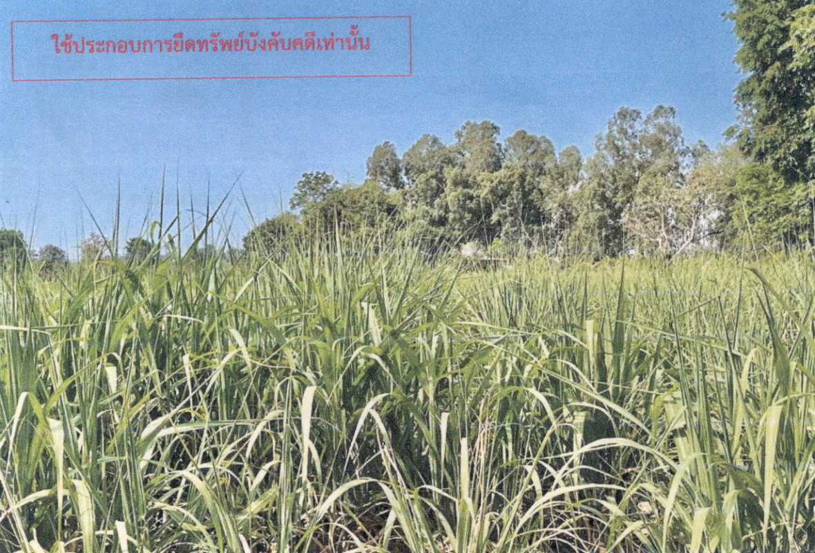 ที่ดินเปล่า กาฬสินธุ์ นามน สงเปลือย 400000