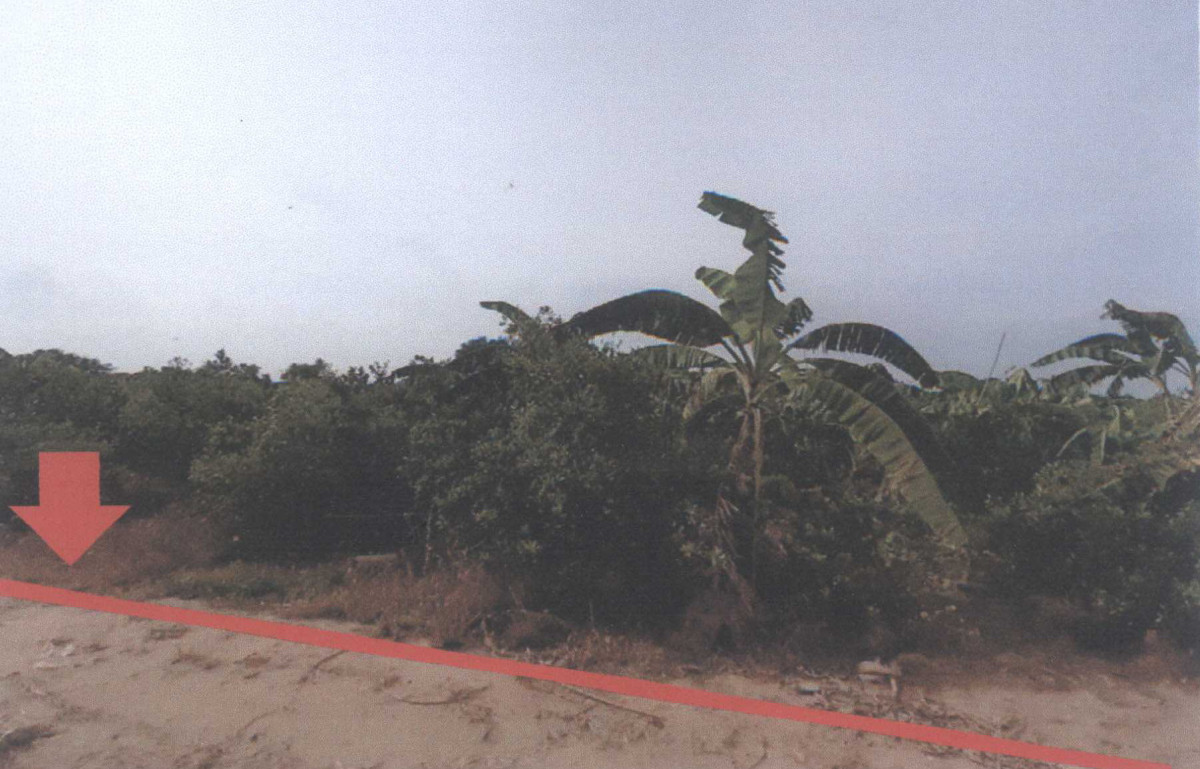 Residential land/lot Phetchaburi Tha Yang Tha Khoi 350775