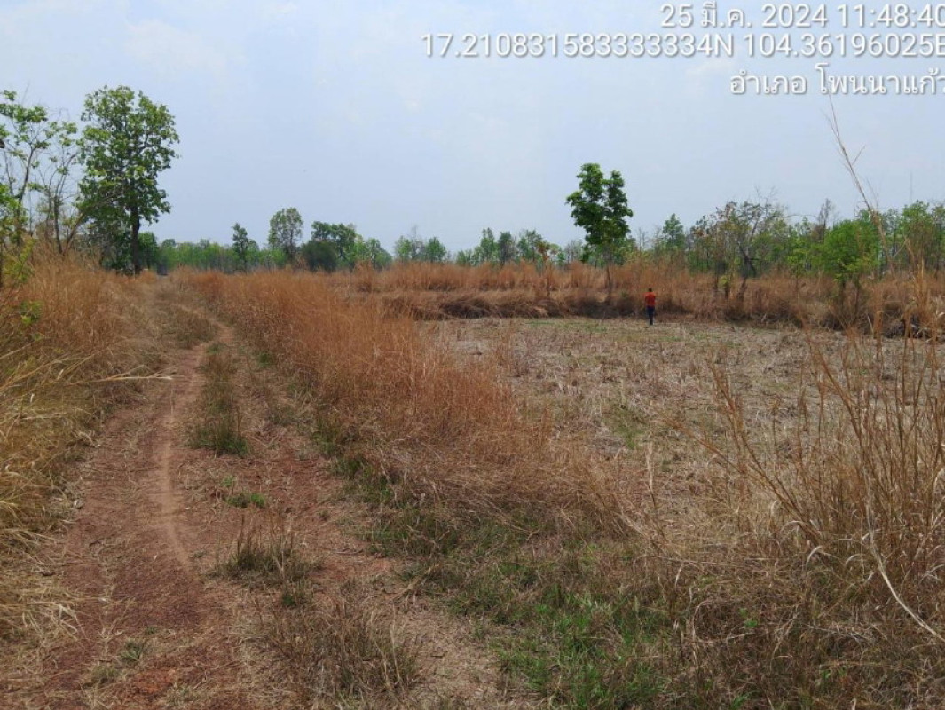 Residential land/lot Sakon Nakhon Phon Na Kaeo Ban Phon 116000