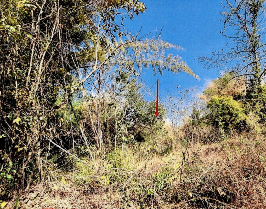 Residential land/lot Lampang Soem Ngam Soem Sai 136260